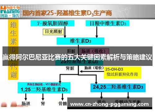 赢得阿尔巴尼亚比赛的五大关键因素解析与策略建议 赢得阿尔巴尼亚比赛的五大关键因素解析与策略建议