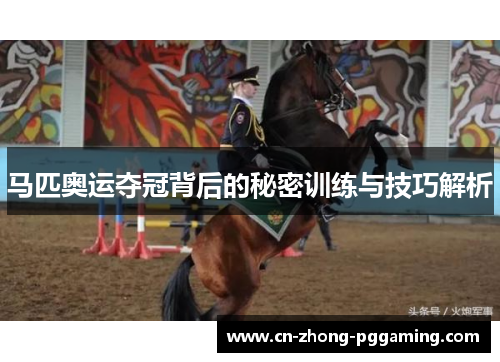 马匹奥运夺冠背后的秘密训练与技巧解析