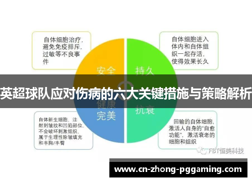 英超球队应对伤病的六大关键措施与策略解析